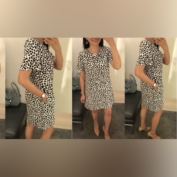 Ann Taylor Dresses & Skirts - ANN TAYLOR • Animal Print Short Sleeve Dress • 6P •
